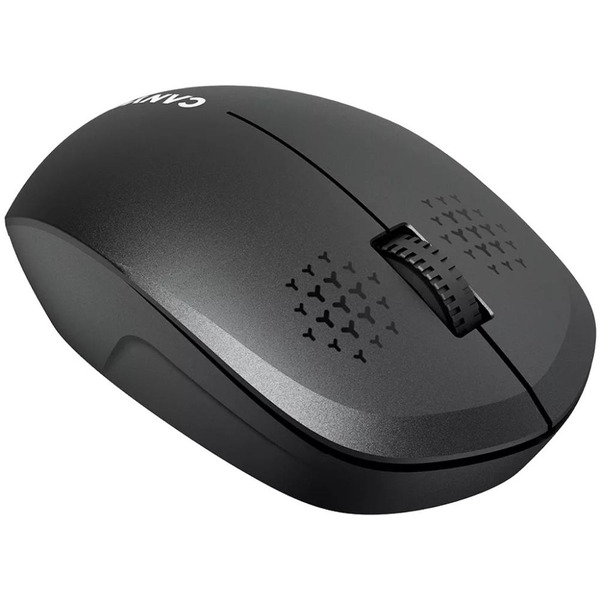 Мышь Canyon MW-04 (CNS-CMSW04B) черный