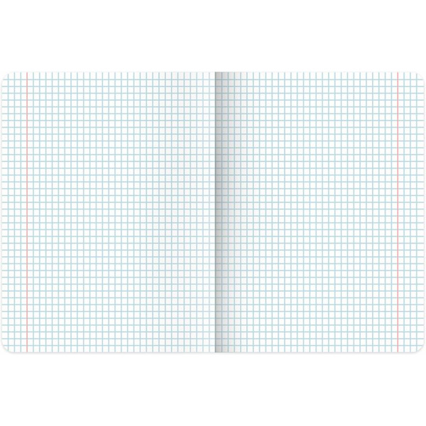 Тетради предметные BRAUBERG 404608 (КОМПЛЕКТ 12 ПРЕДМЕТОВ, 48л, глянцевый УФ-лак)