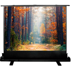 Экран CACTUS FloorExpert CS-PSFLE-180X135