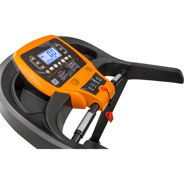 Беговая дорожка Alpin Marathon T-180