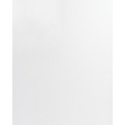 Холст для рисования BRAUBERG Art Premiere 190641