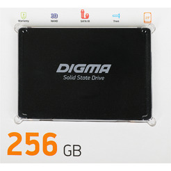 Накопитель SSD Digma DGSR2256GP13T