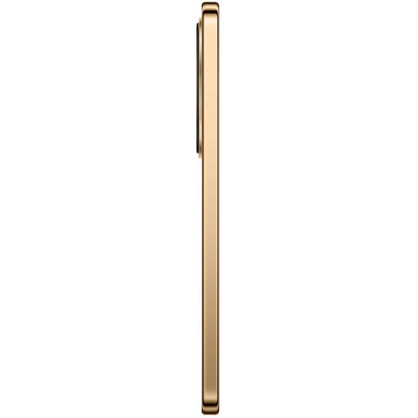 Смартфон Honor X9d 8GB/256GB (MTN-NX1) Reddish Brown