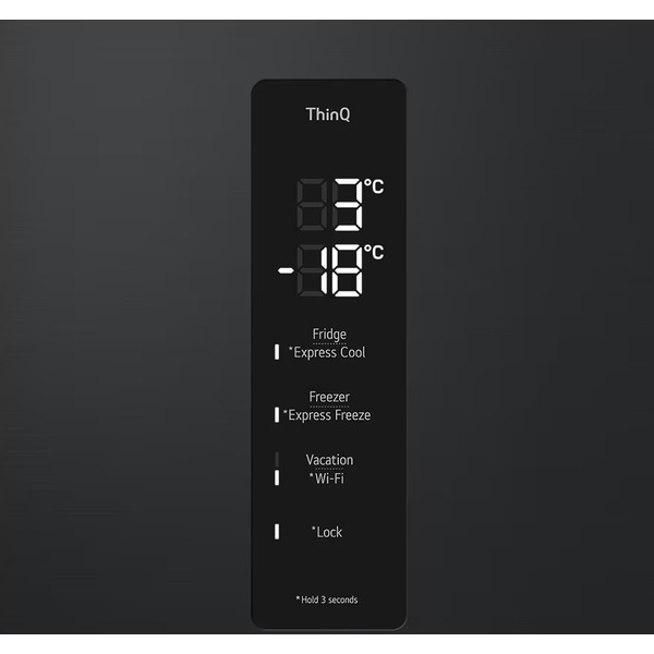 Холодильник LG GC-B509FTZW