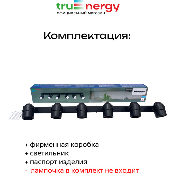 Светильник под лампу TRUENERGY FOCUS 21468