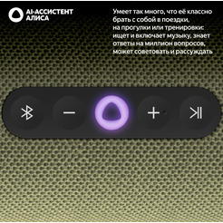 Портативная Умная колонка Яндекс.Станция Стрит YNDX-00030GRN (зеленый)