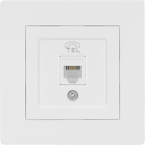 Розетка TDM Electric Сенеж SQ1816-0042 (белый)