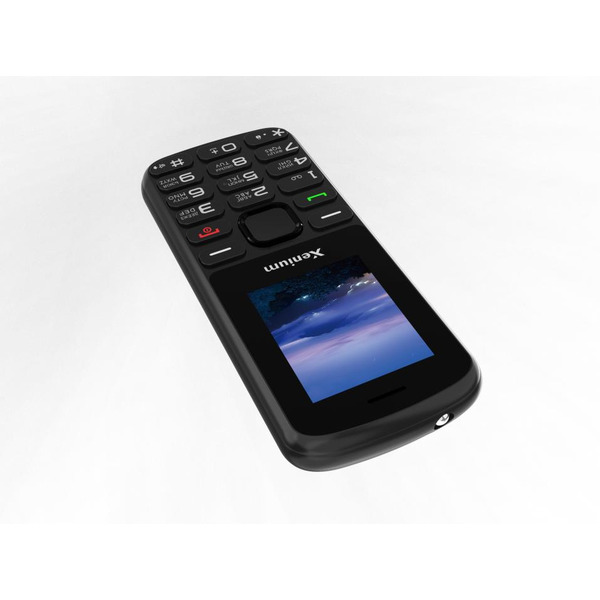 Сотовый телефон Xenium X170 черный