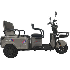 Электрический трицикл SmartBalance Spartak (серый)