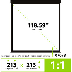 Экран Cactus CS-PSW-213X213-BK