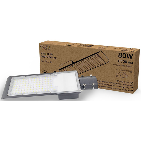 Светильник консольный Gauss 629534380