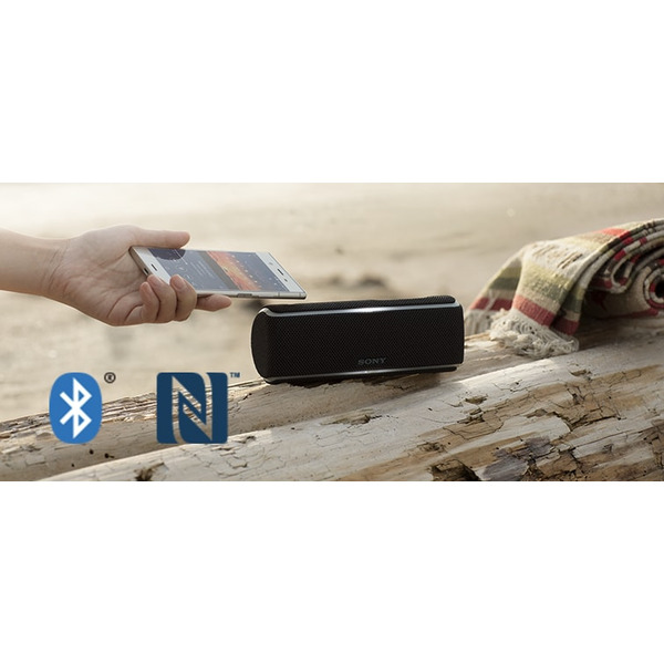 Беспроводная акустическая система SONY SRS-XB21 (черный)