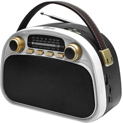 Радиоприемник Ritmix RPR-040 (белый)