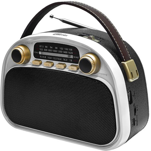 Радиоприемник Ritmix RPR-040 (белый)