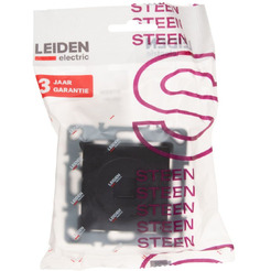Розетка компьютерная Leiden Electric Steen 806103