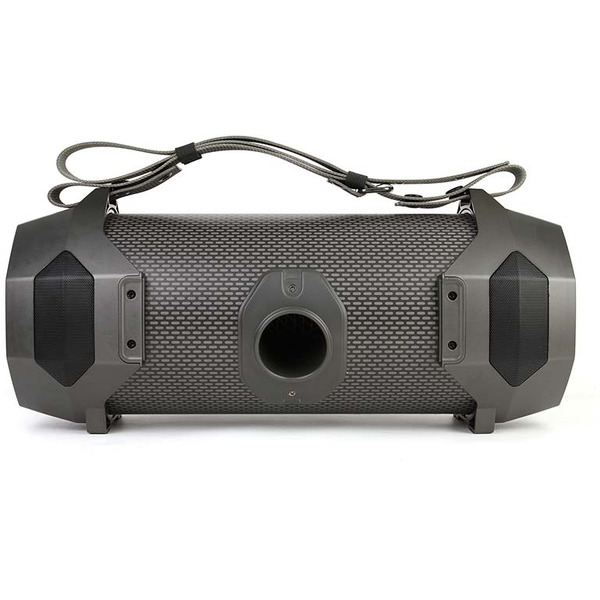 Портативная акустическая система DIALOG AP-1050