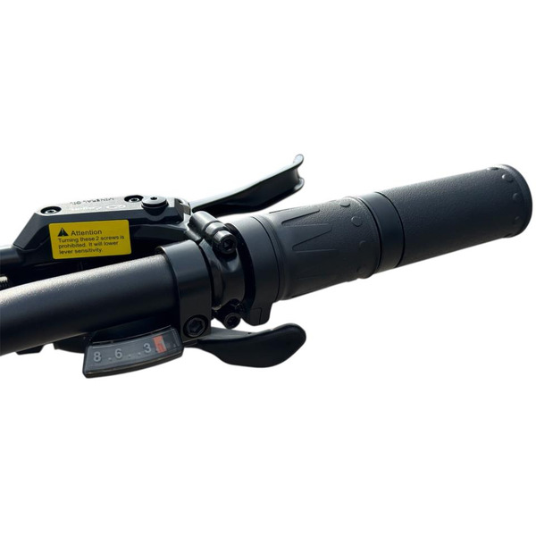 Электровелосипед Smart Balance Hunter (золотистый)