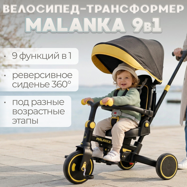 Детский велосипед Bubago Malanka BG 211-3 (черный)