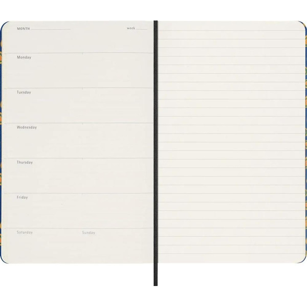 Ежедневник Moleskine Limited Edition Prescious & Ethical Silk DHUND12PSILK3ABOX (синий)