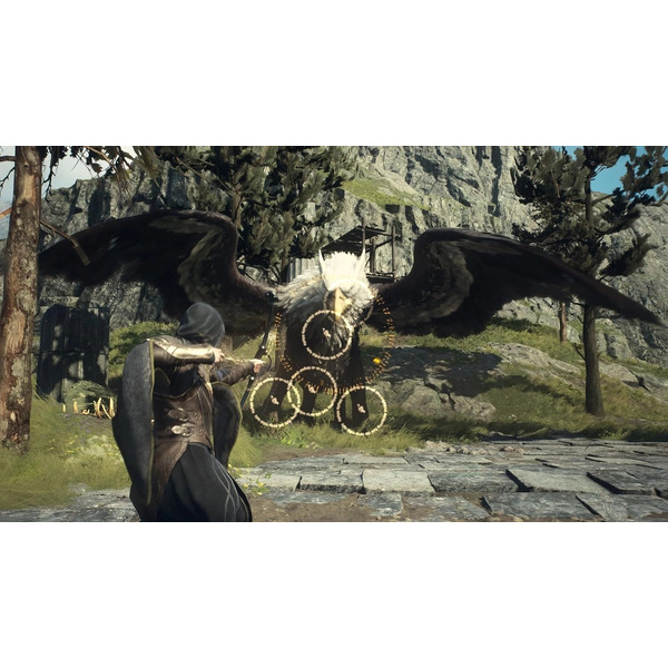 Игра Dragon's Dogma 2 для PlayStation 5