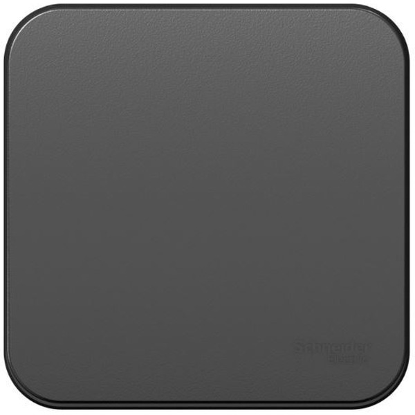 Выключатель Systeme Electric Blanca BLNVA101016