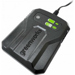 Зарядное устройство Greenworks G24UC2 2946207 (24В)