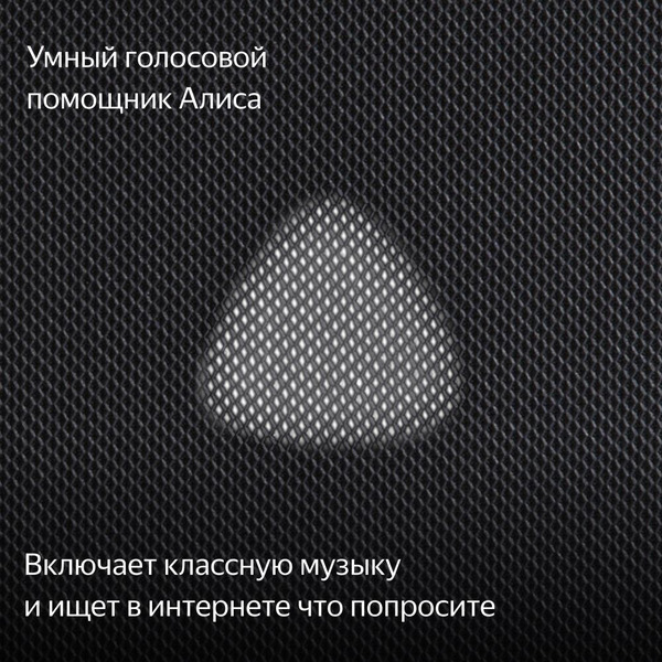 Умная колонка Яндекс Станция Макс с Алисой и Zigbee (YNDX-00053K) графит