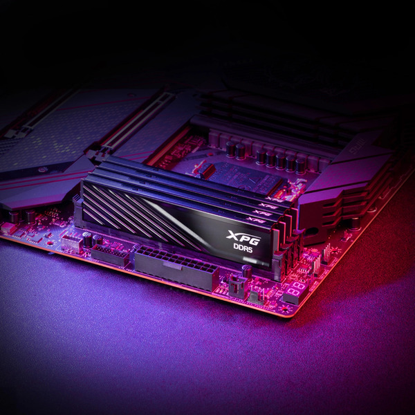 Оперативная память ADATA AX5U5600C4616G-SLABBK