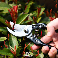 Секатор Deli EDL580200