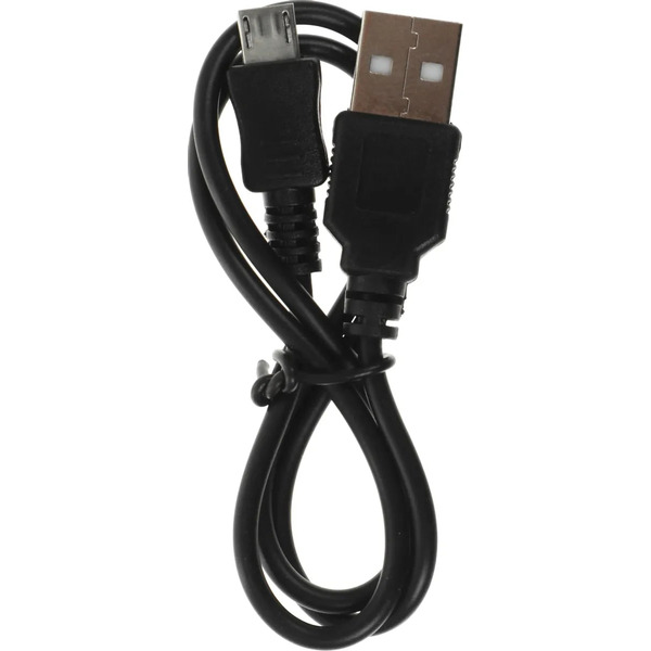 Диктофон цифровой Ritmix RR-145 8GB (черный)