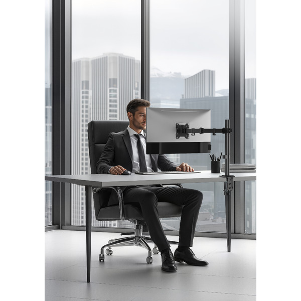 Кронштейн для монитора ErgoSmart Simple II