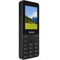 Мобильный телефон Xenium X900 (черный)