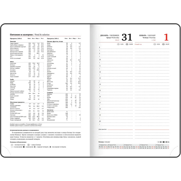 Ежедневник Brauberg Control 117125 (сиреневый)