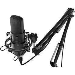 Микрофон Ritmix RDM-169