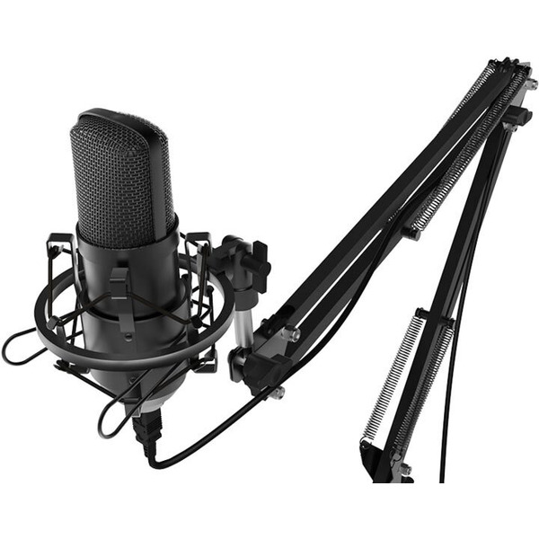 Микрофон Ritmix RDM-169