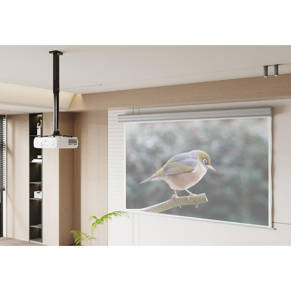 Кронштейн для проектора CACTUS CS-VM-PR05L-BK