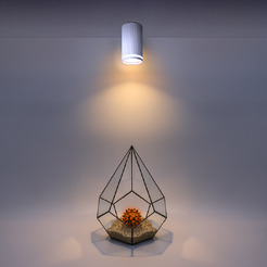 Накладной светильник WOLTA WSL-GU10/03W