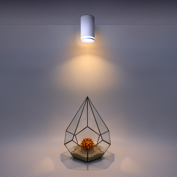 Накладной светильник WOLTA WSL-GU10/03W