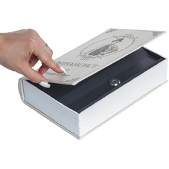 Сейф-книга BRAUBERG Финансист