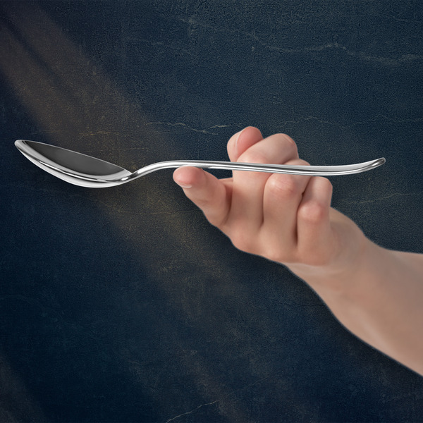 Набор столовых приборов WMF Merit 1140006341 (66пр)