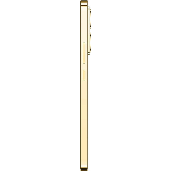 Смартфон Infinix Note 40 Pro 12Gb/256GB Titan Gold