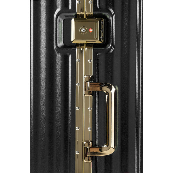 Чемодан DoubleW E087# (M,черный)