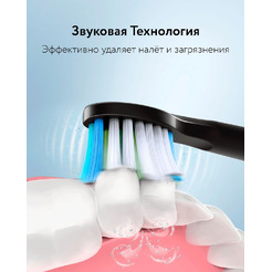 Электрическая зубная щетка Fairywill E11 (черный, 8 насадок + чехол)