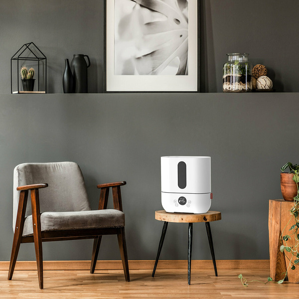 Увлажнитель воздуха Boneco Air-O-Swiss U250 (белый)