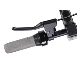 Электросамокат POLARIS PES1010