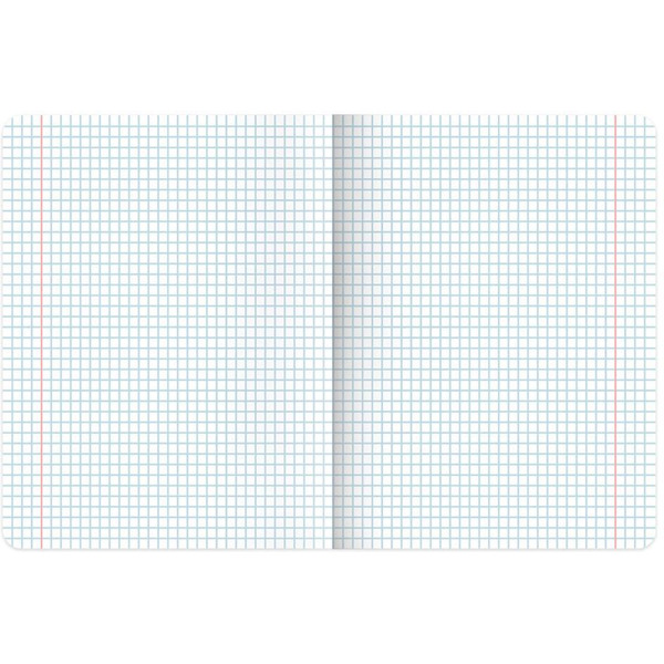 Тетради предметные BRAUBERG 404324 (КОМПЛЕКТ 12 ПРЕДМЕТОВ, 48л, глянцевый УФ-лак)