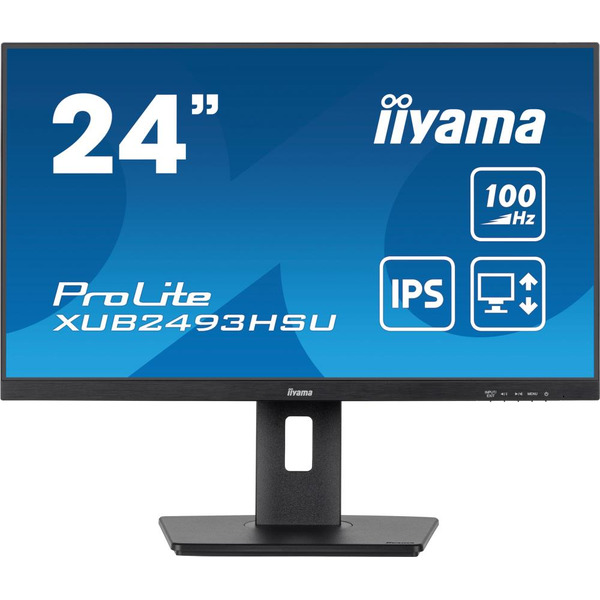 Монитор Iiyama ProLite XUB2493HSU-B7