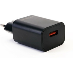 Сетевое зарядное Ergolux ELX-РA01P-C02