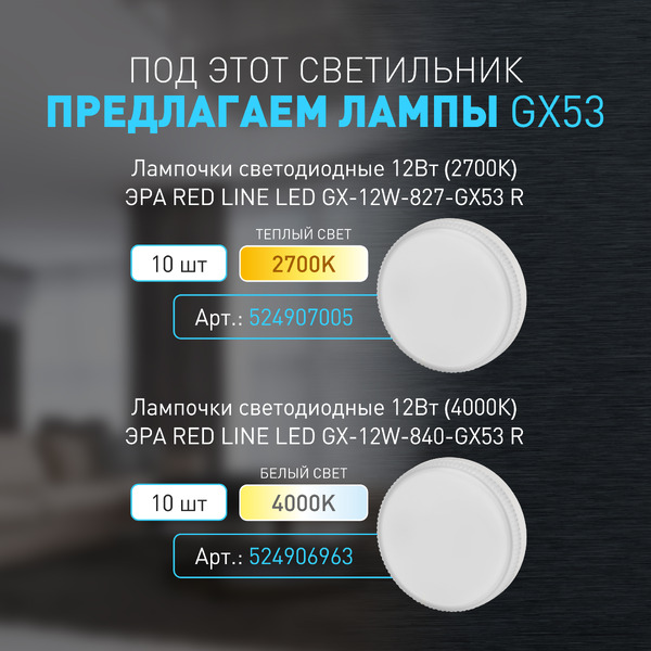 Потолочный светильник ЭРА PL21 WH GX53