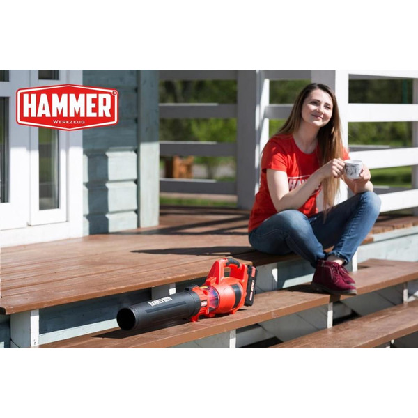 Воздуходувка Hammer VZD40V 641212 (без АКБ и ЗУ)